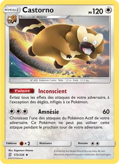 Castorno (Harmonie des Esprits #172/236)