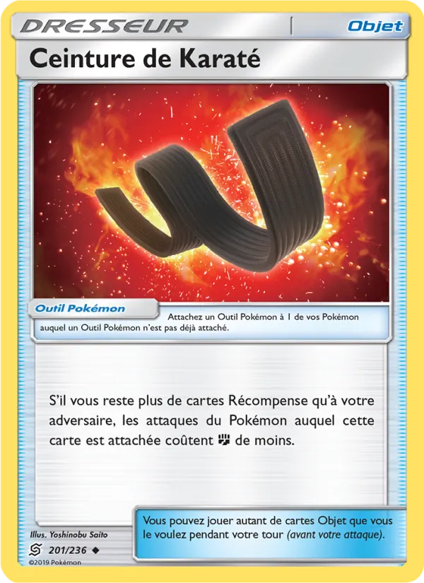 Ceinture de Karaté (Unified Minds #201/236)