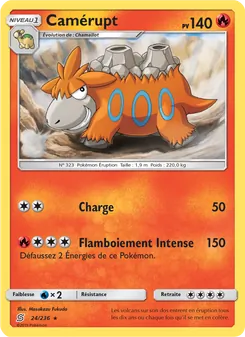 Camérupt (Harmonie des Esprits #24/236)