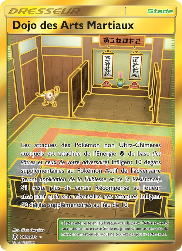 Dojo des Arts Martiaux (Cosmic Eclipse #268/236)