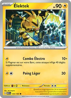 Élektek (151 #125/165)
