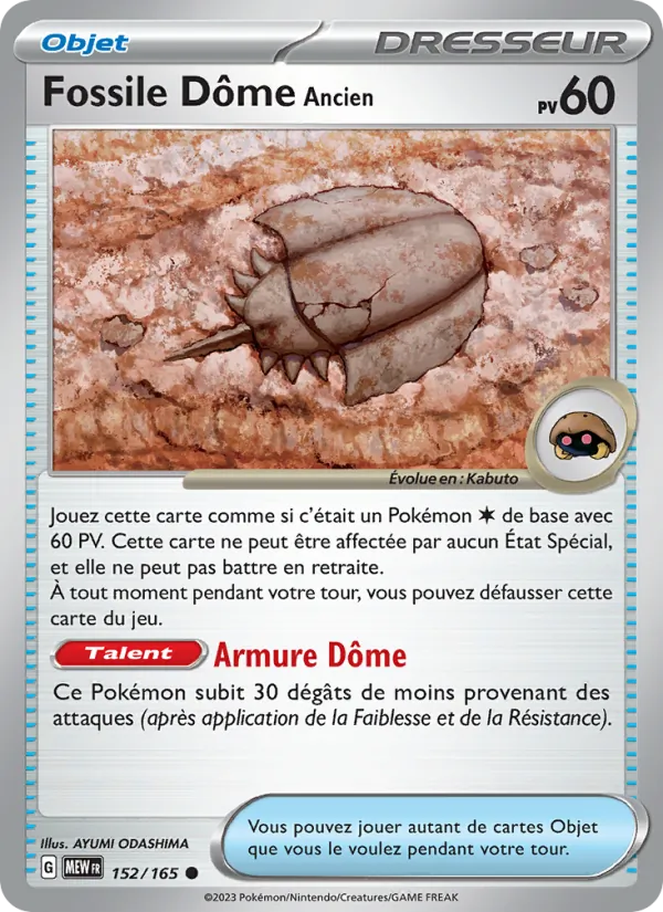 Fossile Dôme Ancien (151 #152/165)
