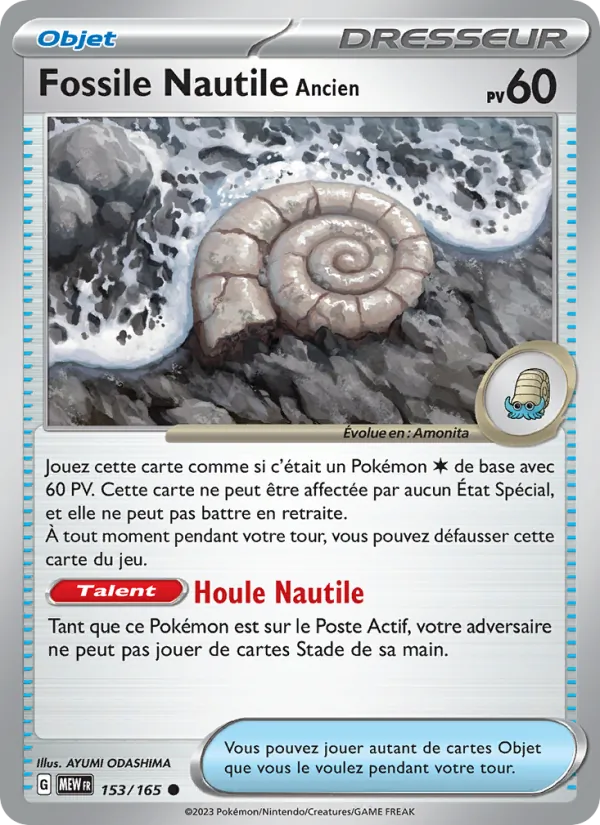 Fossile Nautile Ancien (151 #153/165)