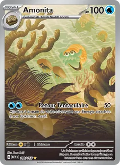 Amonita (151 #180/165)