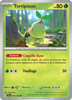 Tortipouss (Forces Temporelles #010/162)