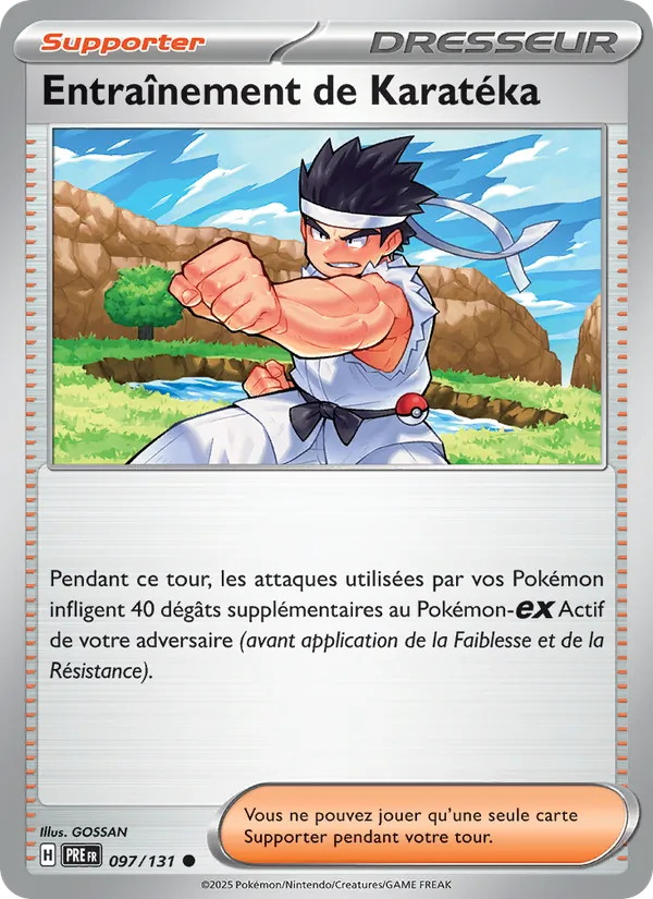 Entraînement de Karatéka (Évolutions Prismatiques #097/131)