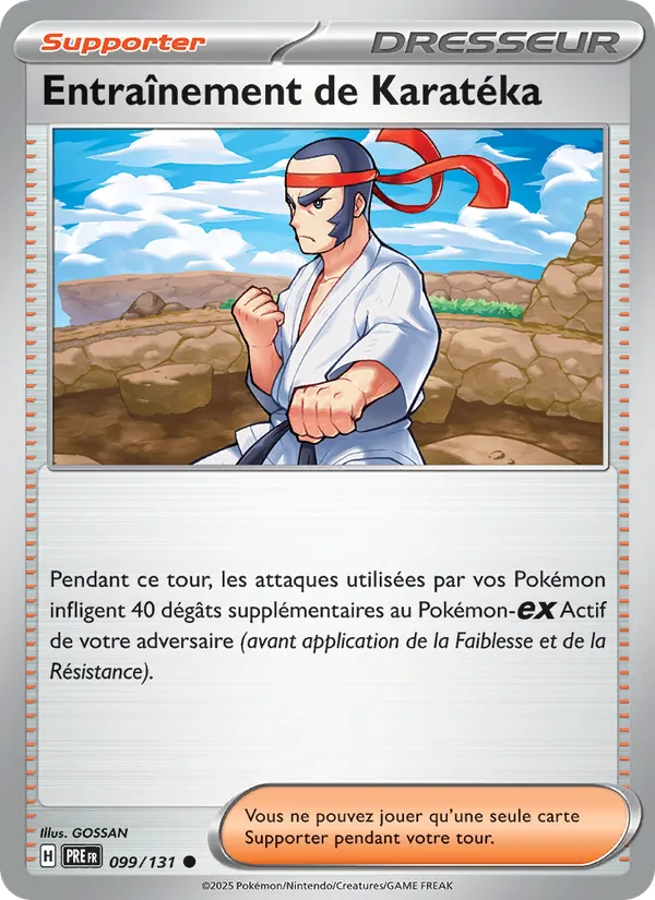 Entraînement de Karatéka (Évolutions Prismatiques #099/131)