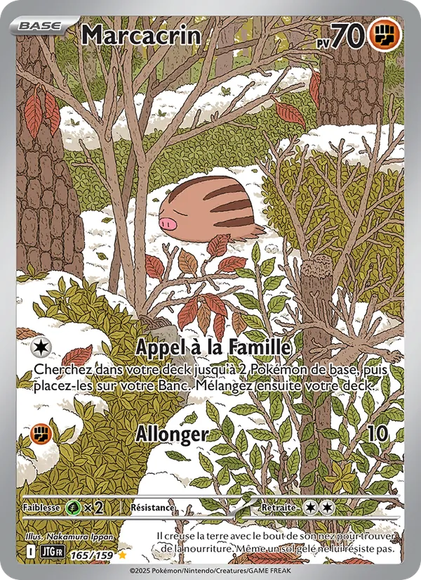 Marcacrin (Aventures Ensemble #165/159)