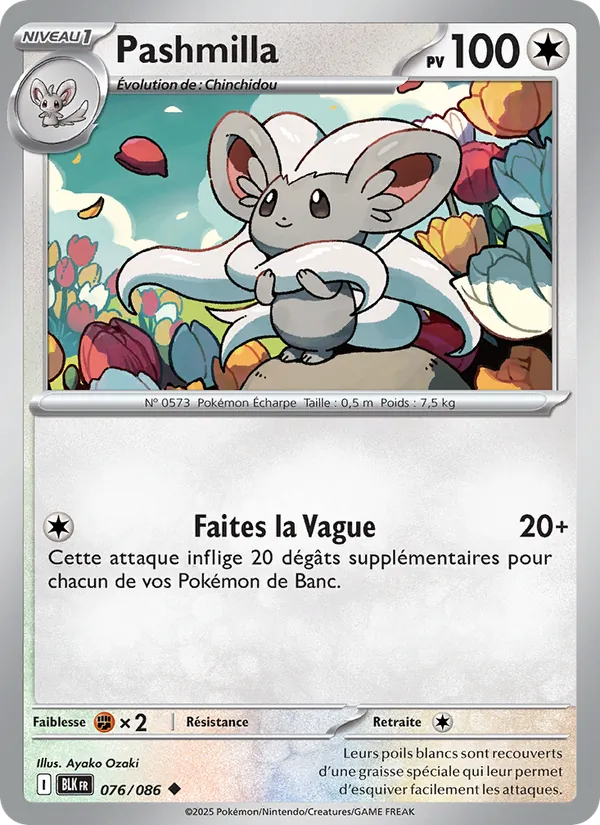 Pashmilla (Foudre Noire #076/86)
