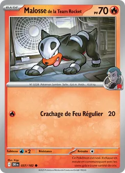 Malosse de la Team Rocket (Rivalités Destinées #037/182)