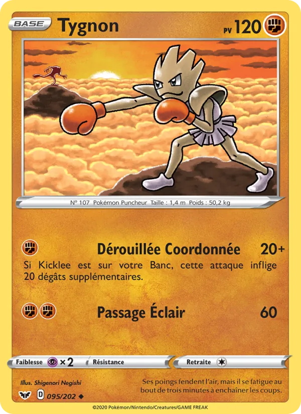 Tygnon (Épée et Bouclier #95/202)