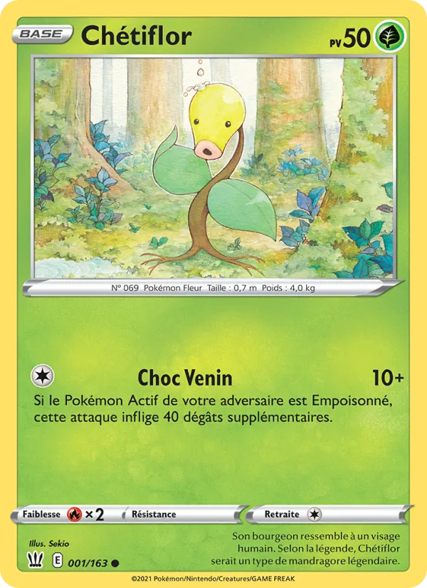 Chétiflor (Styles de combat #1/163)