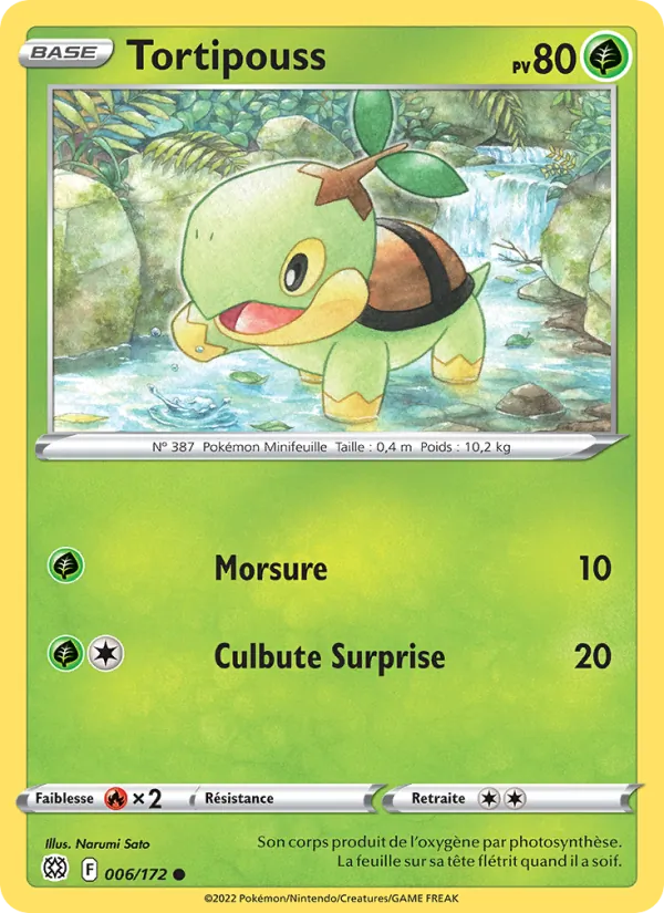 Tortipouss (Stars Étincelantes #006/172)