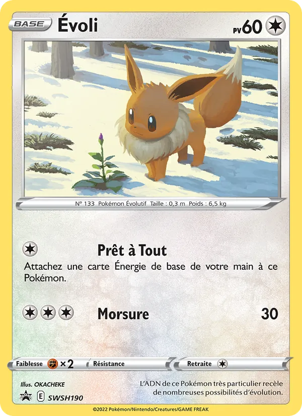 Évoli (SWSH Black Star Promos #SWSH190/307)