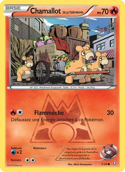 Chamallot de la Team Magma (Double Danger #1/34)