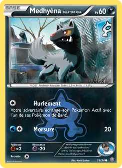 Medhyèna de la Team Aqua (Double Danger #16/34)