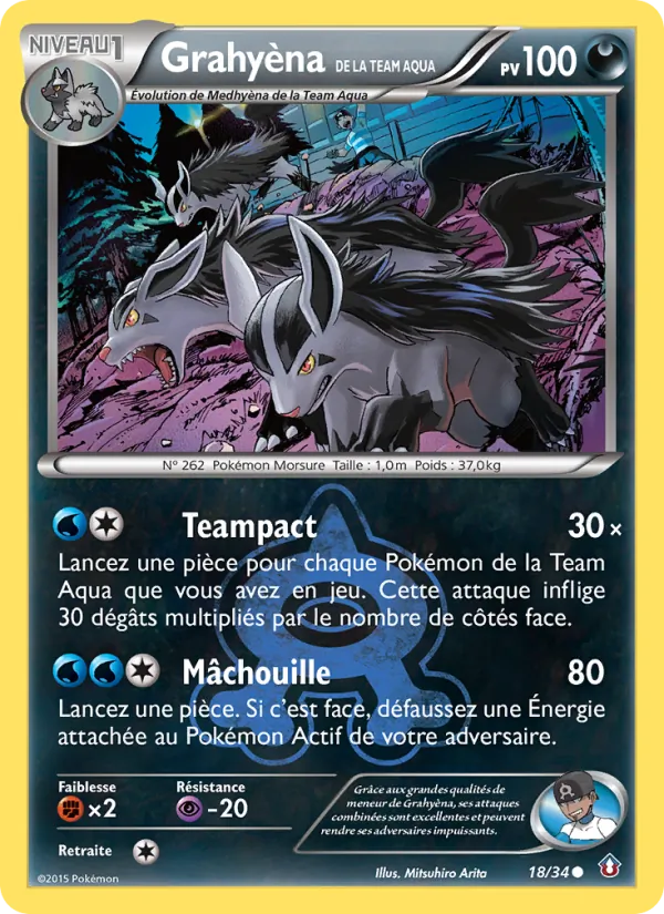 Grahyèna de la Team Aqua (Double Danger #18/34)