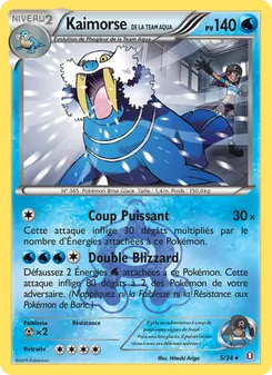 Kaimorse de la Team Aqua (Double Danger #5/34)
