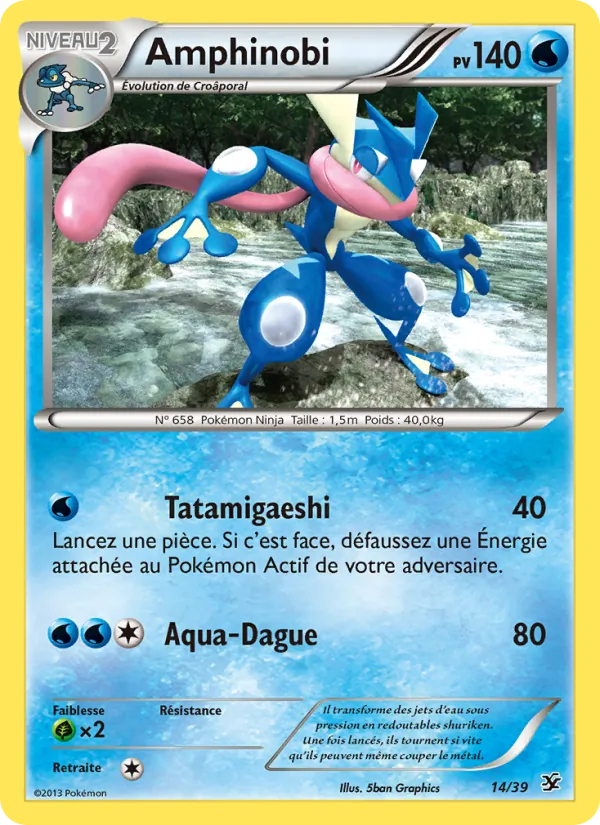 Amphinobi (Bienvenue à Kalos #14/39)