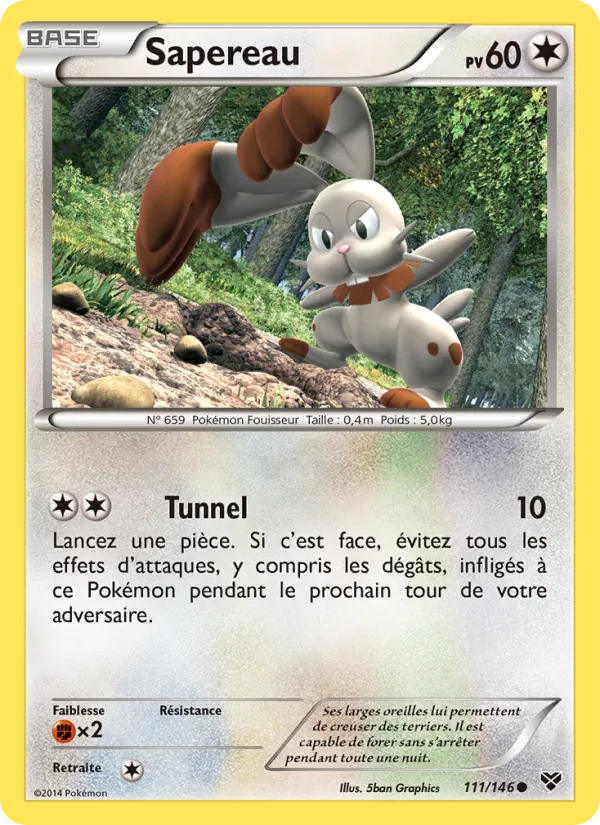 Sapereau (XY #111/146)