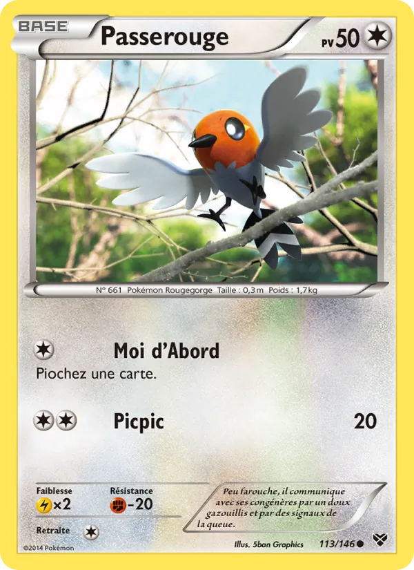 Passerouge (XY #113/146)