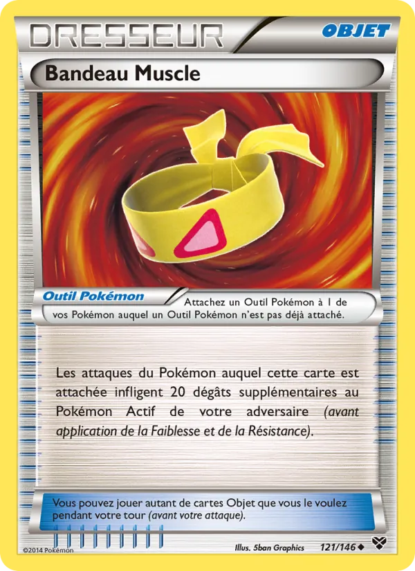Bandeau Muscle (XY #121/146)