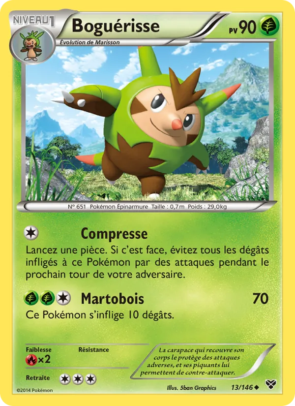 Boguérisse (XY #13/146)