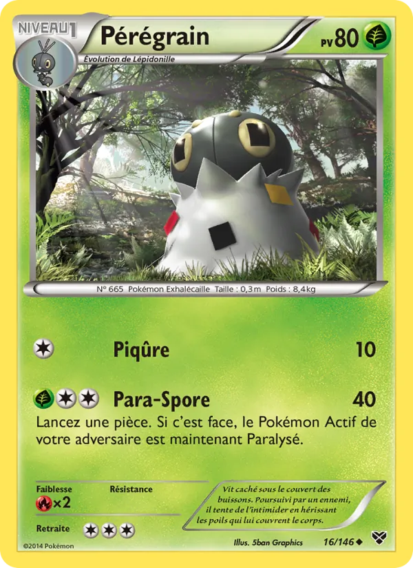 Pérégrain (XY #16/146)