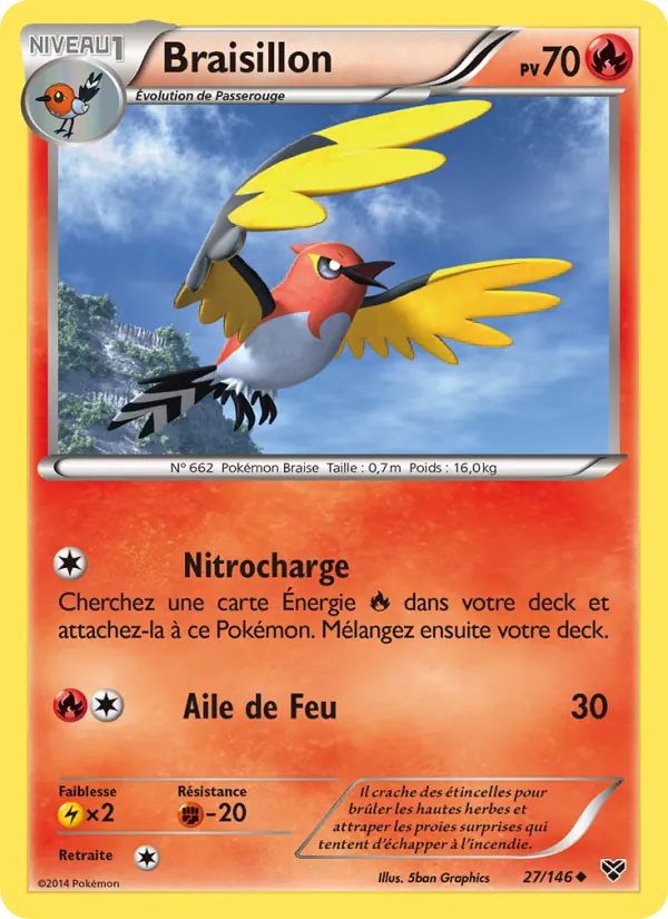 Braisillon (XY #27/146)