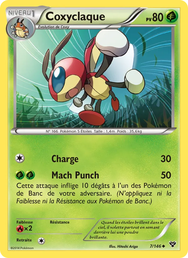 Coxyclaque (XY #7/146)