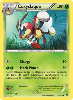 Coxyclaque (XY #7/146)
