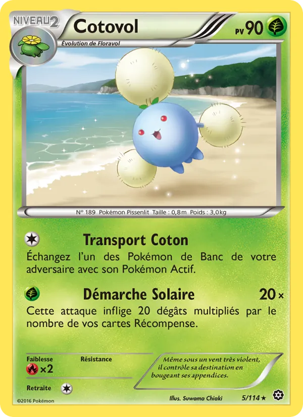 Cotovol (Offensive Vapeur #5/114)