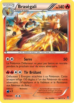 Braségali (Poings Furieux #14/111)