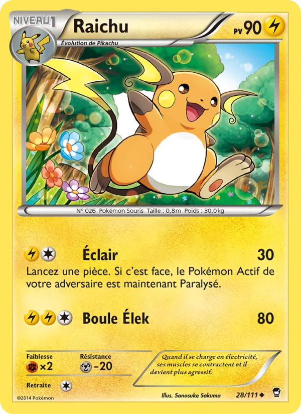 Raichu (Poings Furieux #28/111)