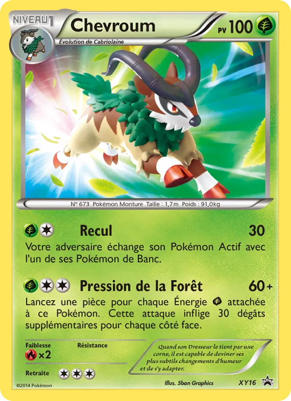 Chevroum (XY Black Star Promos #XY16/211)