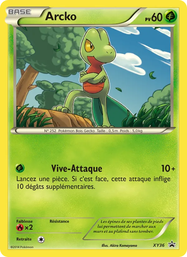 Arcko (XY Black Star Promos #XY36/211)