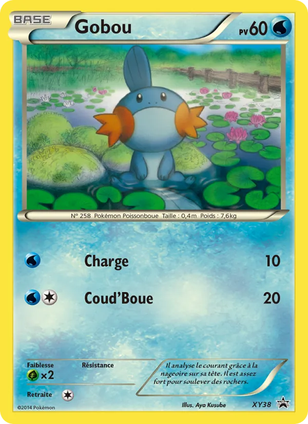 Gobou (XY Black Star Promos #XY38/211)