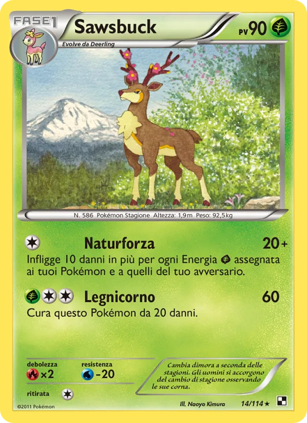 Sawsbuck (Nero e Bianco #14/114)