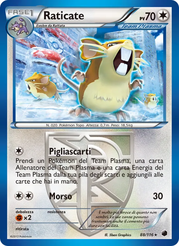 Raticate (Glaciazione Plasma #88/116)