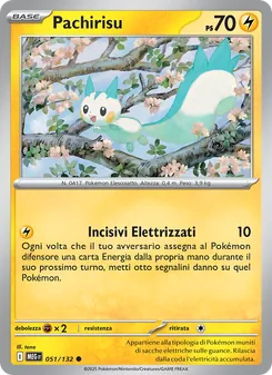 Pachirisu (Megaevoluzione #051/132)