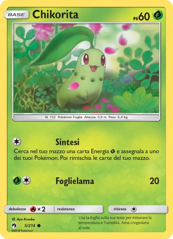 Chikorita (Tuoni Perduti #5/214)