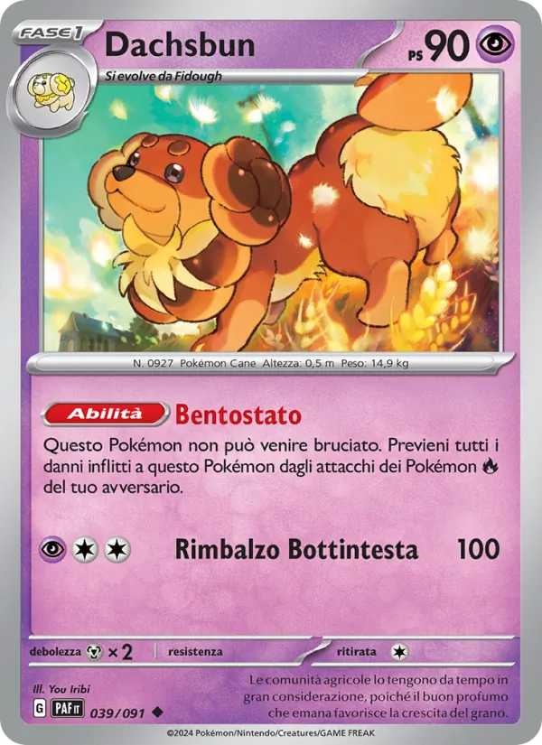 Dachsbun (Destino di Paldea #039/91)