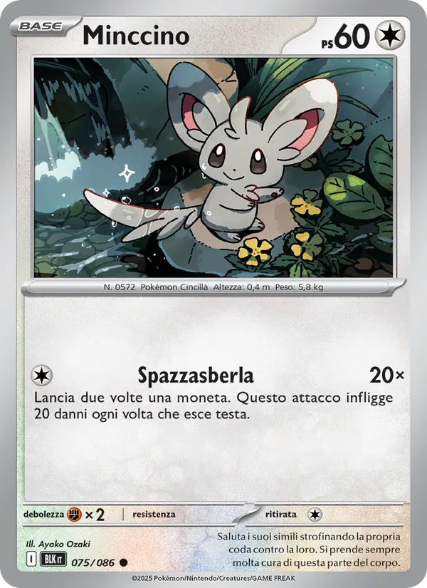 Minccino (Luce Nera #075/86)
