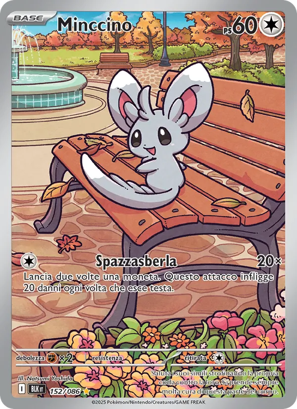 Minccino (Luce Nera #152/86)