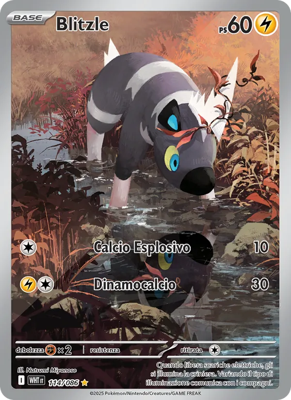 Blitzle (White Flare #114/86)