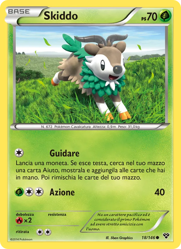 Skiddo (XY #18/146)