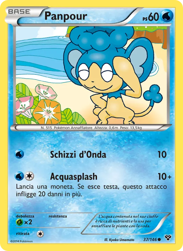 Panpour (XY #37/146)