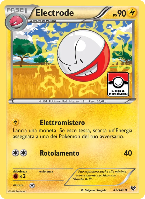 Electrode (XY #45/146)