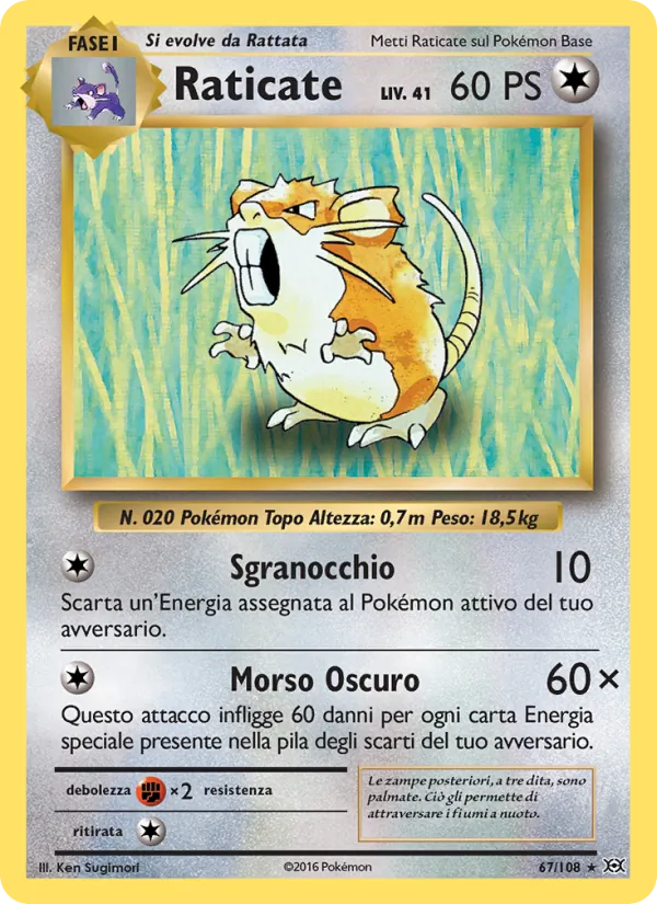 Raticate (Evoluzioni #67/108)