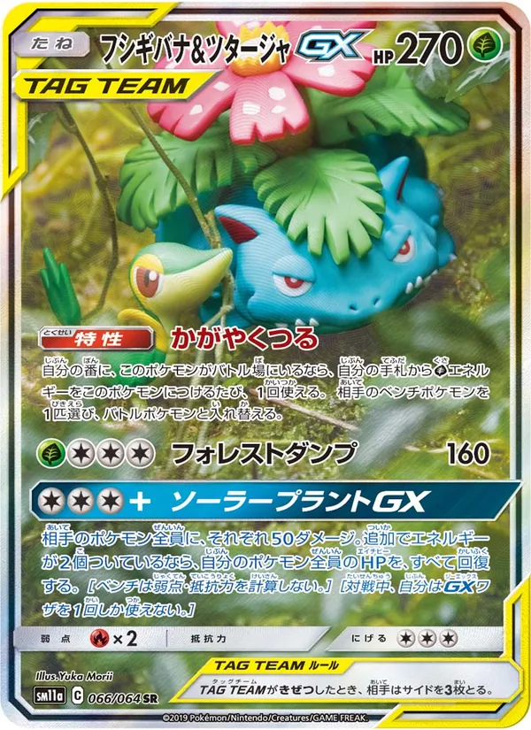 フシギバナ&ツタージャGX (SM Black Star Promos #SM229/248)